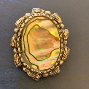 Vintage Abalone Brooch